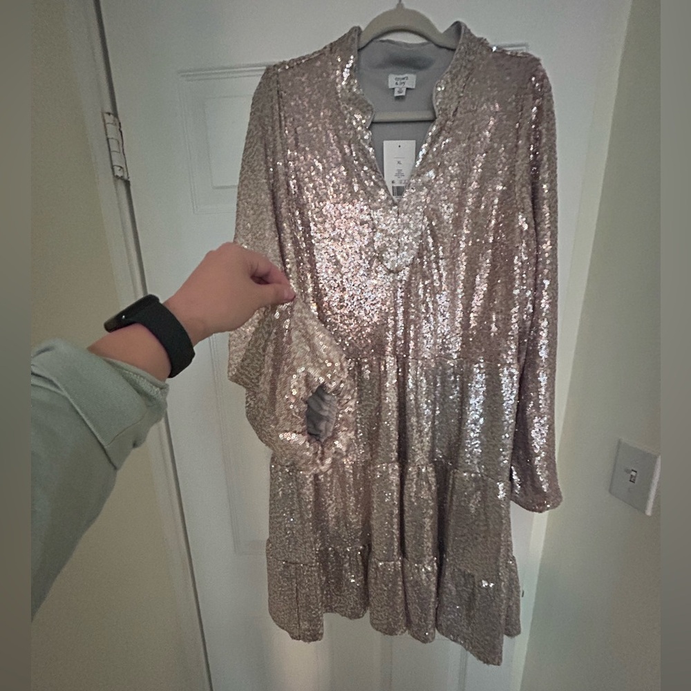 Crown & Ivy Silver Sequin Long Sleeve Dress